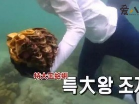 【PokerStars】李烈音或被判5年, 因节目或成最惨女嘉宾