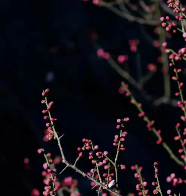 只是近黄昏