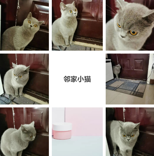 邻家小猫