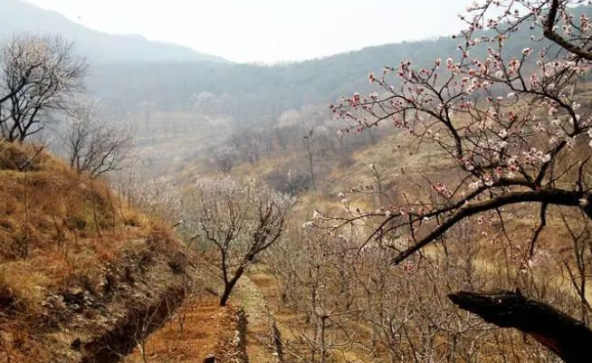 黑山情缘