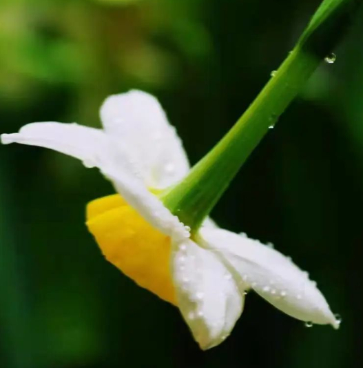 风雨之后